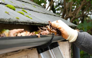 gutter cleaning North Ripley, Hampshire